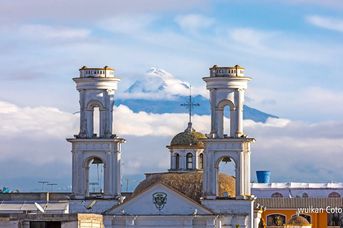 Żołwie Na Równiku