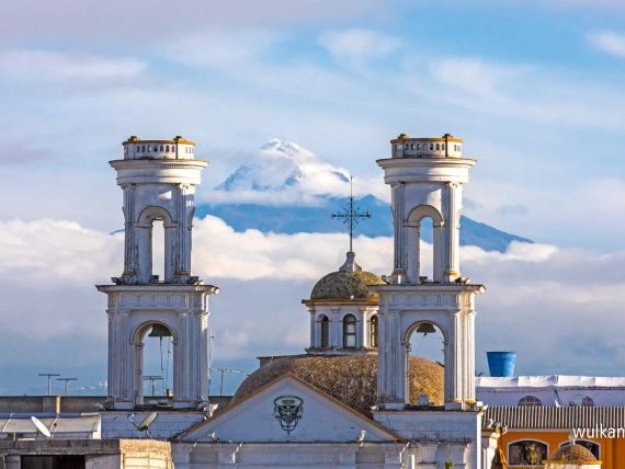 Żołwie Na Równiku