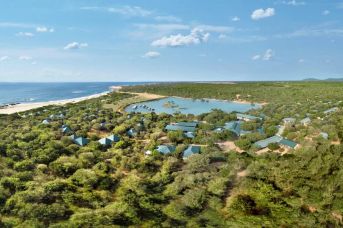 Cinnamon Wild Yala