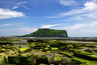 Korea Południowa dla Koneserów /+ wyspa Jeju/