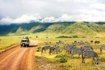 Rajskie Safari