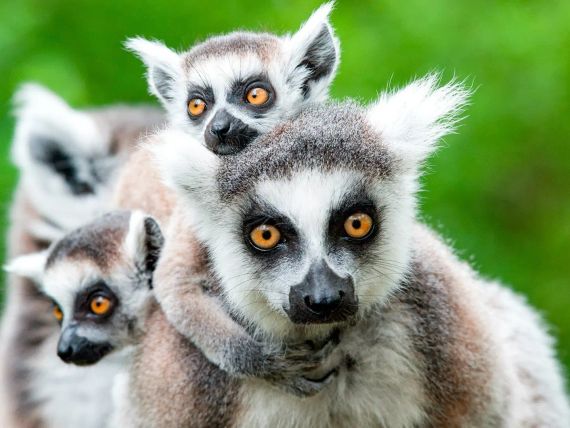 wakacje-w-w-krainie-lemur-w-i-baobab-w-na-cyprze-z-itaka-wczasy-na