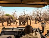 Tam, gdzie rządzi natura: Zimbabwe i Botswana