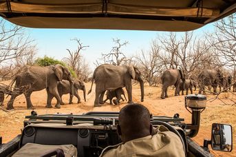 Tam, gdzie rządzi natura: Zimbabwe i Botswana