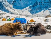 Spójrz na chmury z góry