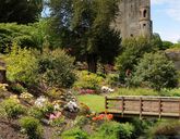 Irlandia dla koneserów