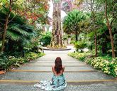 Niezwykłe Oblicza Azji: Malezja i Singapur