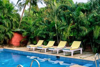 Ivy Morjim - AM Kollection