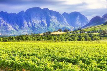 Kapsztad, dwa przylądki i winnice w stylu SLOW TRAVEL dla koneserów