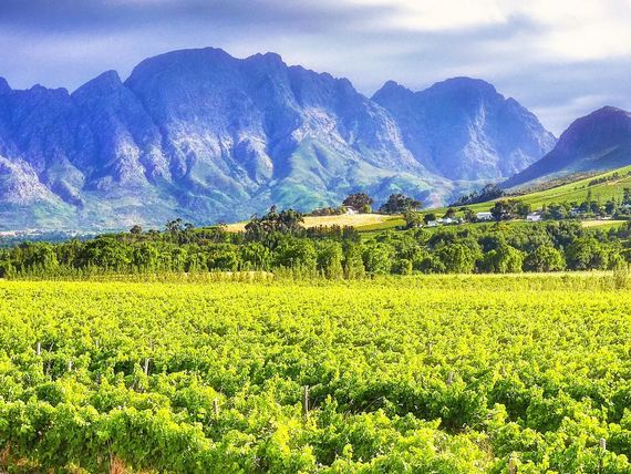 Kapsztad, dwa przylądki i winnice w stylu SLOW TRAVEL dla koneserów