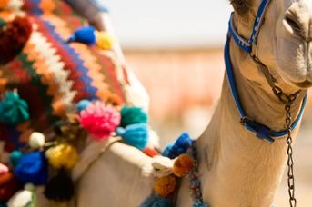 Jordania - wypoczynek Morze Martwe