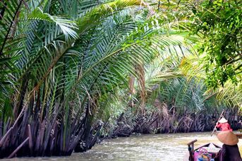 Wietnam w słomkowym kapeluszu