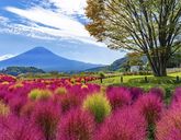 Japonia - Aktywny Zen