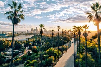California Dreams