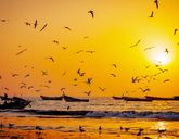 Afryka naturalnie dzika