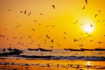 Afryka naturalnie dzika