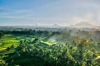 Kappa Senses Ubud