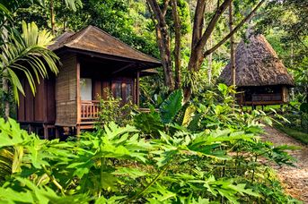 Barefoot at Havelock