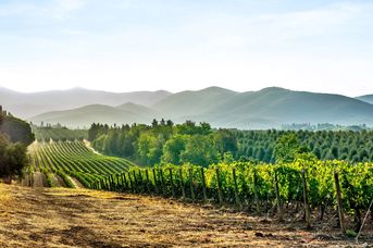 Tbilisi i Baku - Jak wino i ogień