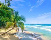 Ezgotyka Light - Pura Vida - Kostaryka