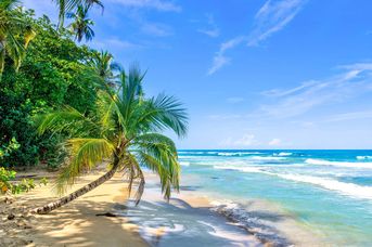 Ezgotyka Light - Pura Vida - Kostaryka