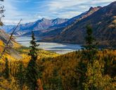 Kanada i Alaska - Łosie i Łososie