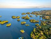 Pośród dzikiej przyrody