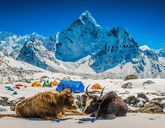 Spójrz na chmury z góry