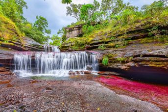 Kolumbijska Mozaika: Kolorowa Rzeka, Pacyfik i Karaiby