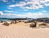 Z Andów na Galapagos