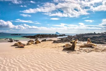 Z Andów na Galapagos