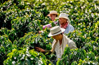 Kolumbia kontrastów