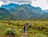 Tropami Dzikiej Afryki: Wyprawa do Ugandy