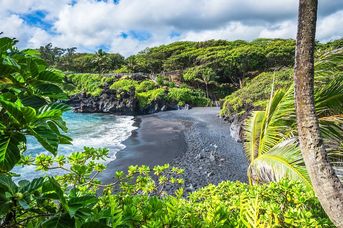 Aloha Hawaii!