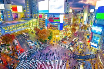 MSC Belissima / Rejs Tokio - Szanghaj, Rejsowanie i Zwiedzanie