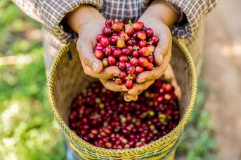 Kawowy Aromat Kostaryki