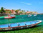 Egzotyka Light - Senegal