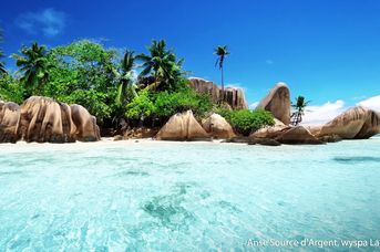 Wakacje Pod Palmami! Seszele