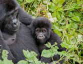 Uganda