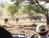 Namibia - Botswana - Zimbabwe