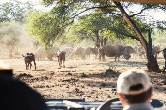 Namibia - Botswana - Zimbabwe