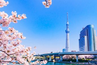 MSC Bellissima / Rejs Chiny i Japonia z Szanghaju