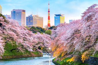 MSC Bellissima / Rejs Japonia I Korea Południowa z Tokio