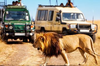 Safari Express + Travellers Beach Hotel & Club