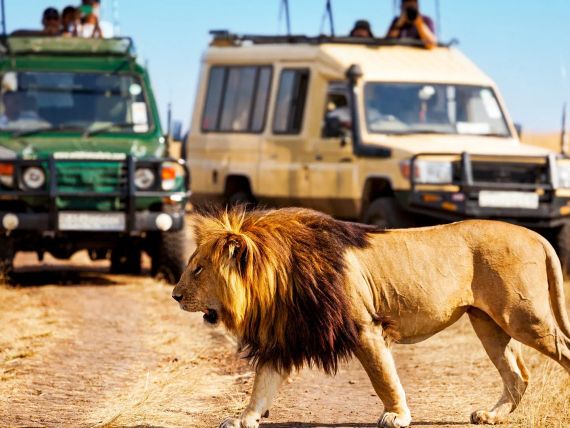 Safari Express + Travellers Beach Hotel & Club