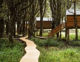 Kanopea Forest Lodge