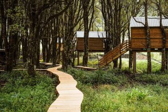 Kanopea Forest Lodge