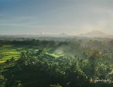 Kappa Senses Ubud
