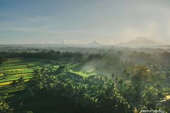 Kappa Senses Ubud