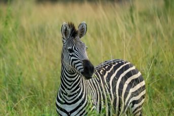 Wodospady Wiktorii - Botswana i Zambia